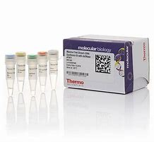 Image result for cDNA Synthesis Kit