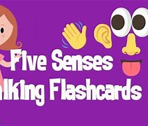 Image result for Senses Flash Cards