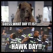 Image result for Seahawks Memes Funny