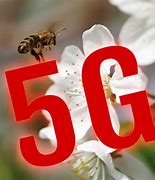 Image result for What Is 5G Mobile Network