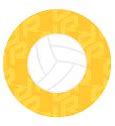 Image result for Volleyball