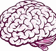 Image result for Small Brain Picture