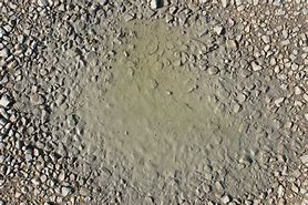 Image result for Dirty Ground Texture