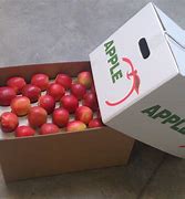 Image result for Bija Apple Box