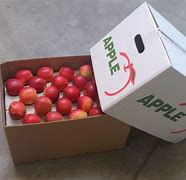 Image result for Apple Packaging Box