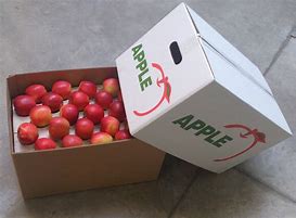 Image result for Apple Carton Box