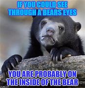 Image result for Bear Eyes Meme