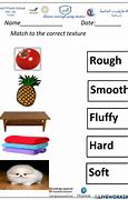 Image result for Similarities and Differences Between Objects