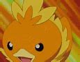 Image result for Torchic Memes