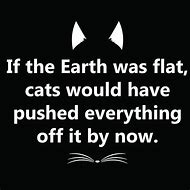 Image result for Flat Earth Cat Meme