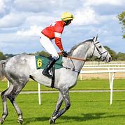 Image result for Racing Horse Calendar