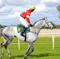 Image result for Horse Racing Trophy