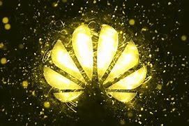 Image result for Huawei Gold Loho