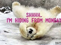 Image result for Hiding From Monday Meme