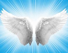 Image result for Angel Wings with Black Background