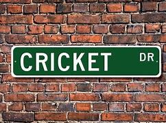 Image result for Large Cricket Sign