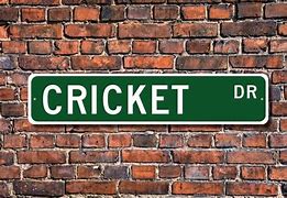 Image result for Cricket 4 Sign