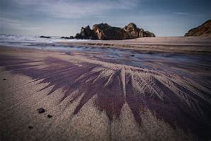Image result for Purple Sand Beach California