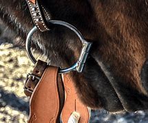 Image result for Rubber Bits for Horses