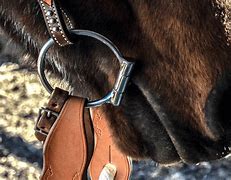 Image result for Curb Bits for Horses