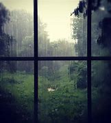Image result for Rain Window Photography