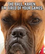 Image result for Are You Serious Dog Meme