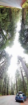 Image result for Vertical Panorama Sky and Pathway