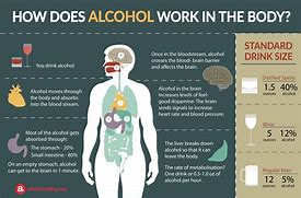 Image result for What Are Some Fun Facts About Alcohol