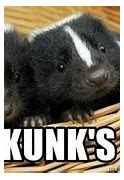 Image result for Skunk Meme