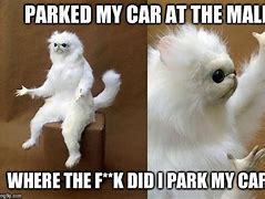 Image result for Cat Driving Car Meme