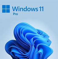 Image result for Didgital Image Pro for Windows 11