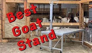 Image result for Weaver Goat Stand