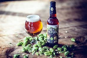 Image result for Triple IPA Beer