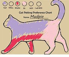 Image result for Cat Petting Preference Chart