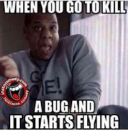 Image result for Kill Bugs Meme