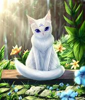 Image result for White Cat Wallpaper for Laptop Meme