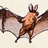 Image result for Bat Clip Art No Background