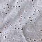 Image result for Eyelet Fabric by the Yard