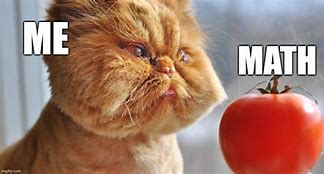 Image result for Surprised Cat Meme Math