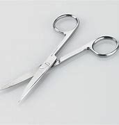 Image result for Blunt Sharp Scissors คือ