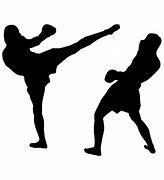 Image result for Kickboxing Exercise