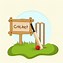 Image result for Cricket Wicket