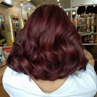 Image result for Burgundy Mahogany Hair Color