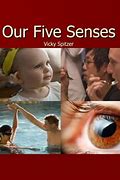 Image result for Our Five Senses