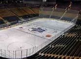 Image result for Toronto Maple Leafs Stadium