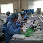 Image result for Guangdong Glove Factories China
