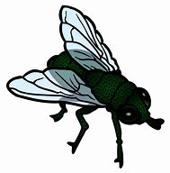 Image result for Fly Clip Art Black and White PNG