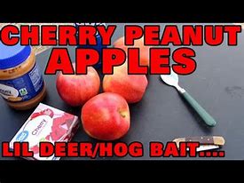 Image result for Funny Apples for Deer Bait Memes