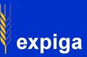 Image result for expagueti