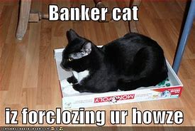 Image result for Banker Cat Meme